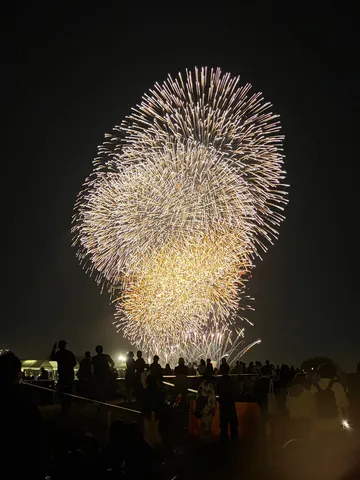 夜空を揺らす花火