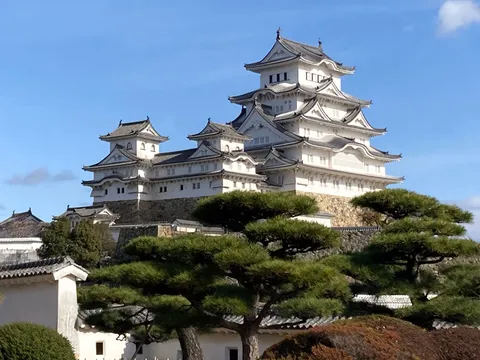 城マニアも唸る？白鷺城の雄姿