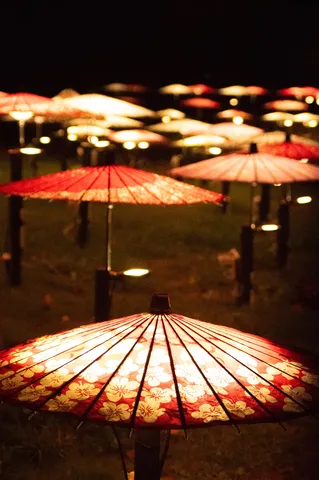 夜の帳に咲く傘の花