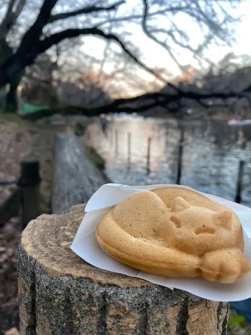 愛らしい猫型和菓子、湖畔の散策