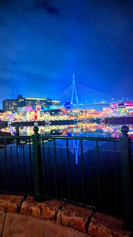 青い夜に伸びる光