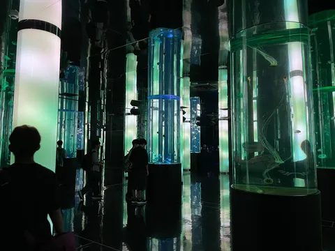光る水槽の迷宮空間