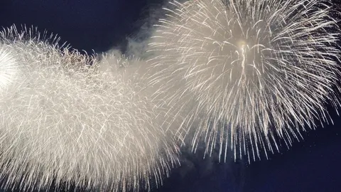 夜空に花を添える光
