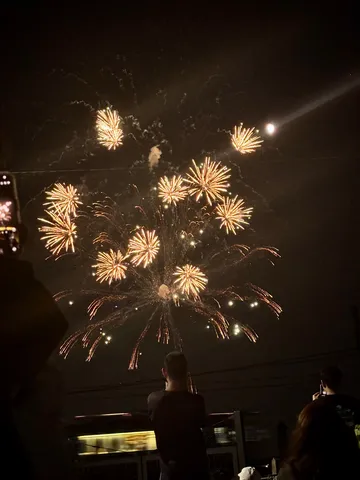 夜空に花火の粒子