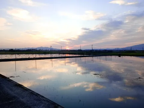 田んぼに映る空、静かな夕暮れ