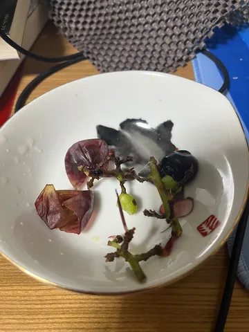 宙を泳ぐ紫の葉と実