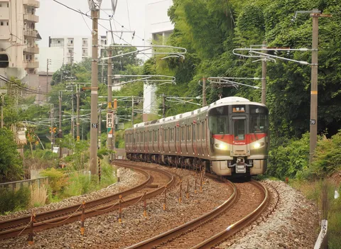 緑のトンネルを駆け抜ける列車