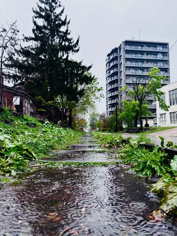 雨降る廃線、都市の余韻
