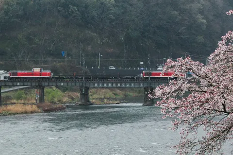 桜と鉄橋を渡る赤い機関車