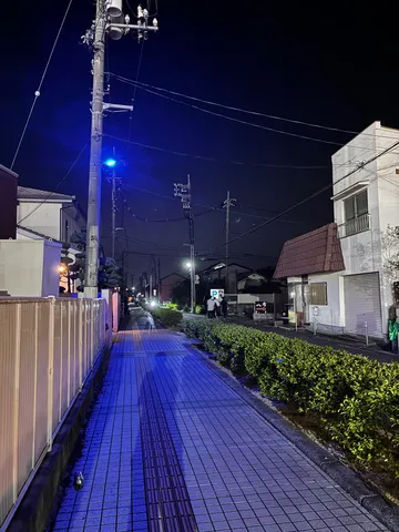 青い光が照らす夜の道