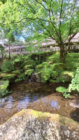 緑と水の静かな謡