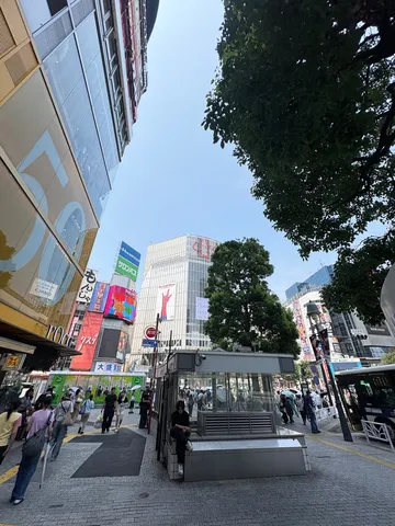スクランブル交差点、現代の迷宮
