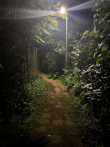 真夜中の静寂、誘う小道