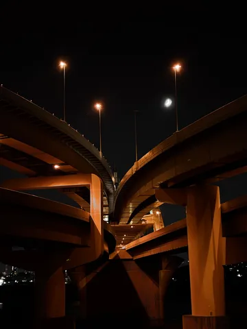 闇夜を照らす未来への道
