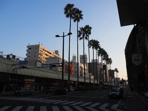 街とヤシの並木道