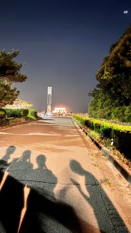 夜の散歩道、影が語る物語