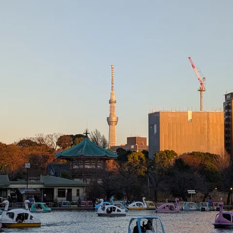 都会のオアシス、白鳥ボートと夕暮れ