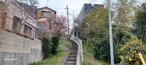 春の階段に映る静かな道