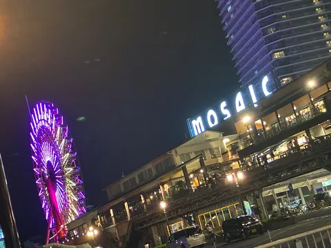 煌めく夜の観覧車と光の街並み
