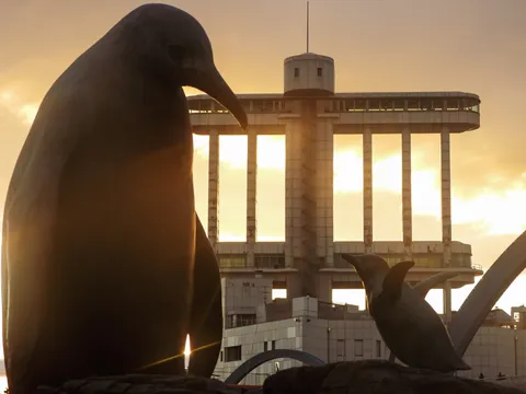光を纏うペンギンとタワー