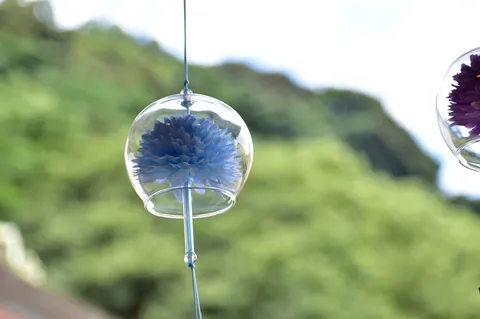 風鈴に咲く青い花