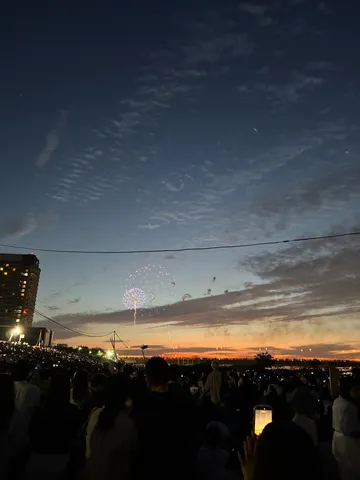 夜空に咲いた一瞬の華