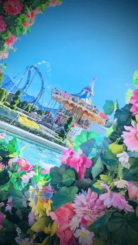 色彩のフレームに閉じ込められた夢
