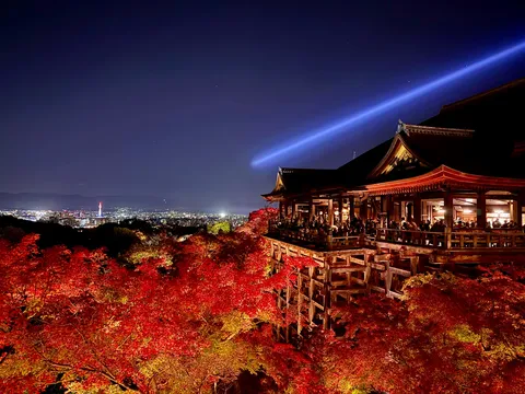 夜空を貫く光と紅葉