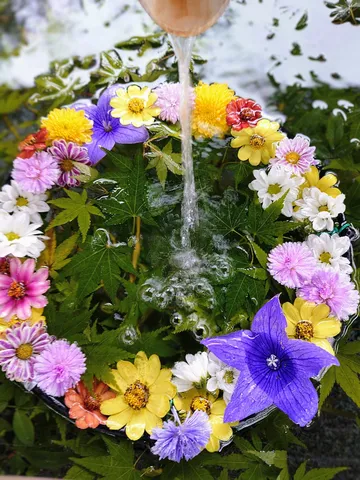 花と水のときめき