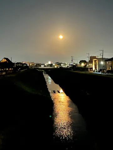 月明かりに照らされる小川