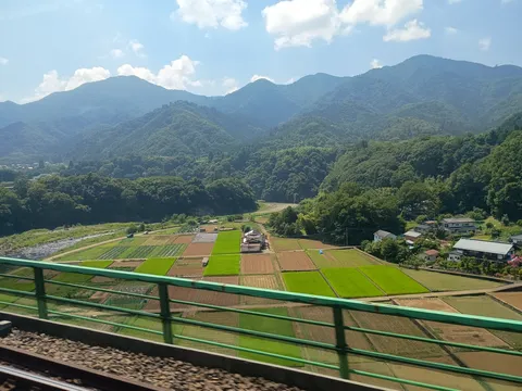 緑まぶしい山あいの田園