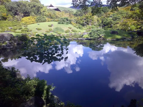 雲を映す鏡、静寂の庭園