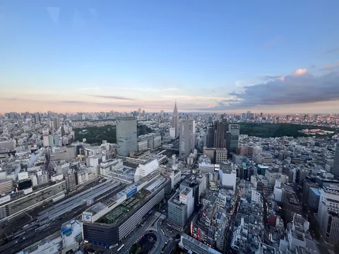 東京のリアル巨大ジオラマ