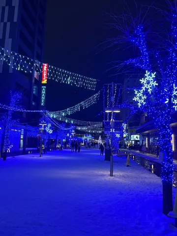 青色無限大！雪降る夜の光の道