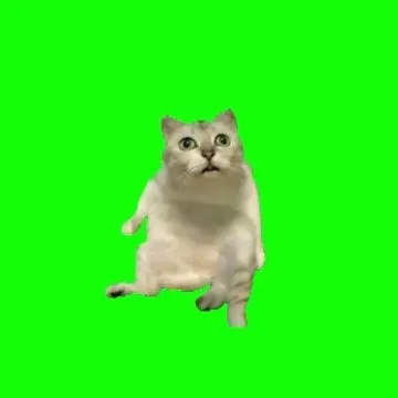 デデドン