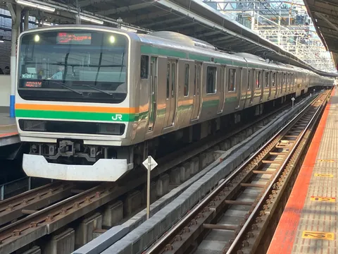 e231-1000  K-20