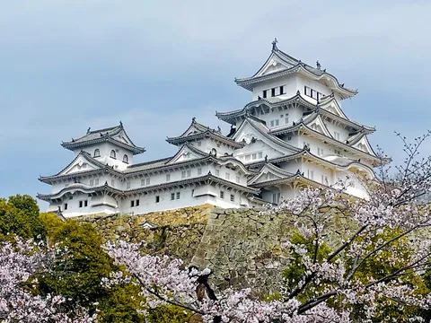 桜舞う白鷺城の春景色