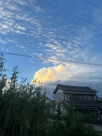 竹影と雲の黄昏の街