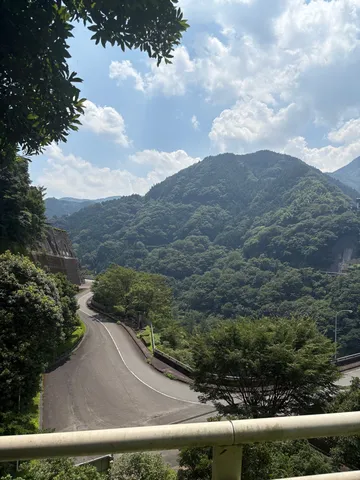 緑深き山道、雲海の囁き