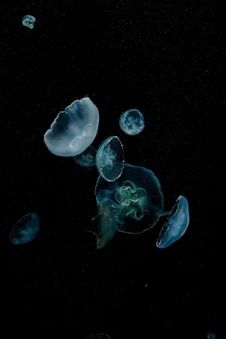 宇宙を漂う青い呼吸