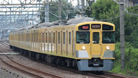 日常を彩る黄色い電車の旅