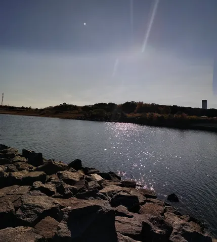 水面がきらめく、静かな水辺の風景