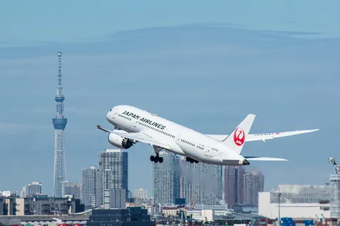 都市の空へ、白い翼