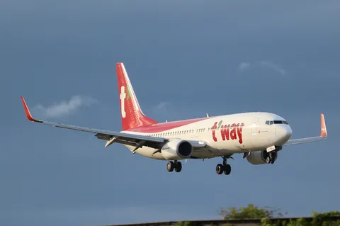 空を駆ける翼、t'wayの力強さ