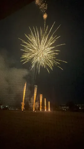 夜空に広がる大輪の花