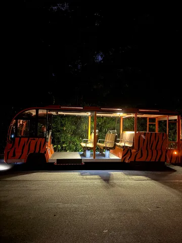 夜の🐅ジャングルバス