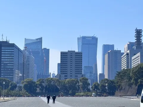 都会の空と緑のコントラスト