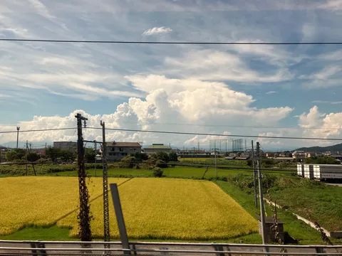 田園風景と夏雲のコントラスト