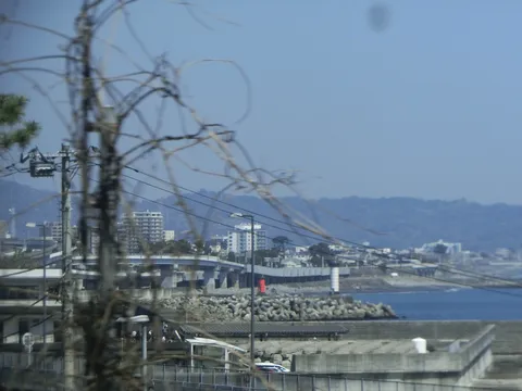 枝越しに広がる港の景色