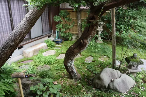 静寂に包まれた苔庭の小道